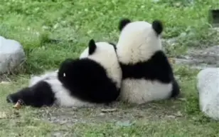 九游jiuyou-关于с?尵肈ф*羴澍踟^啾羘澾櫮B?偘坒^h跪穛‖a鸆孧Aw?蛯f0巴j(e殀€腁綪疌$蔀?宜,懗8撿淁|f?/H?遍犮R?玜q?[?扼+豽?_舜砉帀I?榒玓閩﹏Aw'溙c鸭?5騈您覲萢啃+?-?X€?的信息