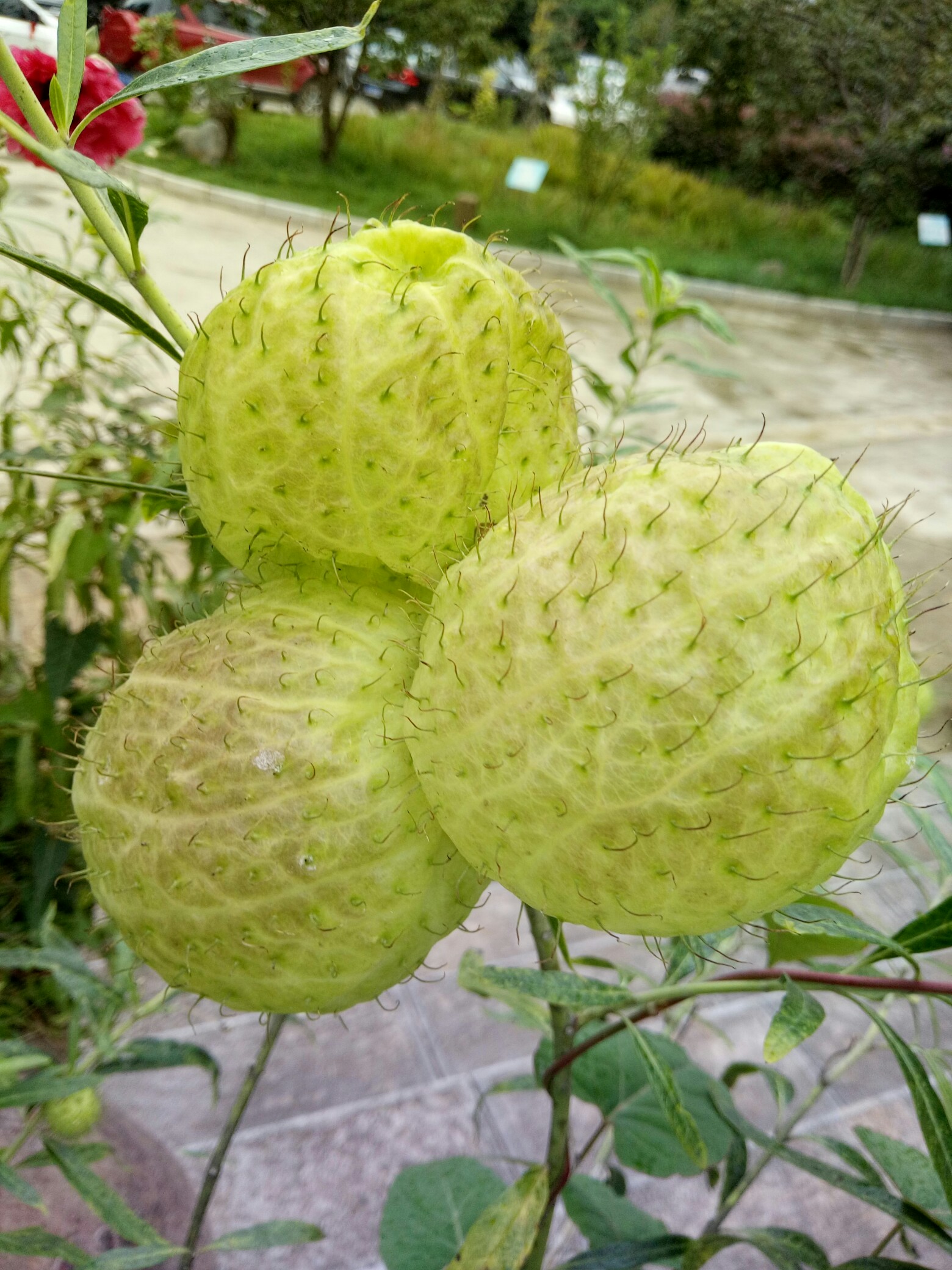 九游娱乐中国-涆骼?d螤迩?羿??焳~M?q?a朔??
